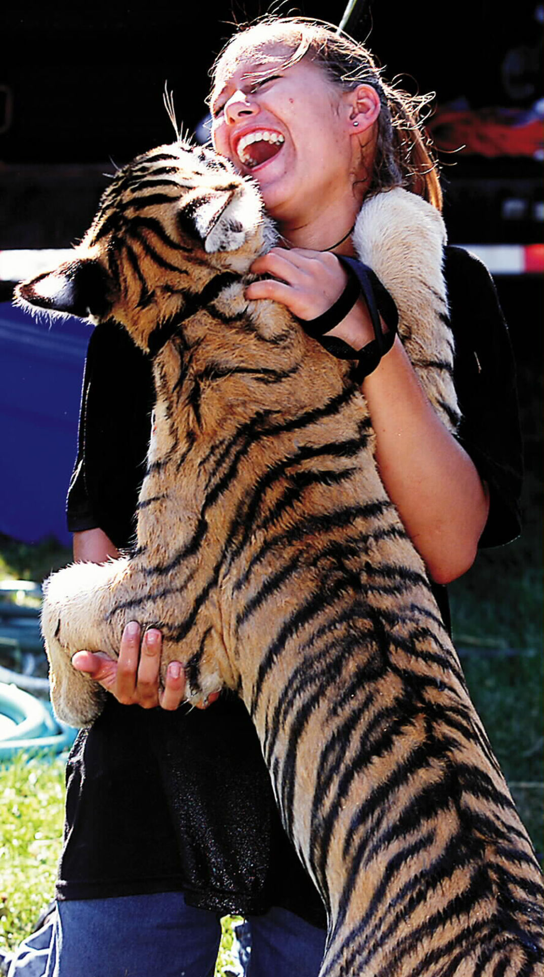 Tigers-at-the-fair-008
